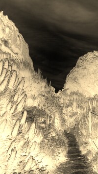 Sepia + Negatyw