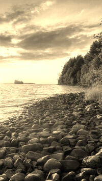 Szary + Sepia