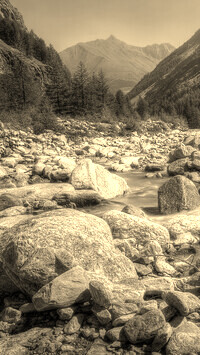 Sepia
