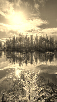 Sepia