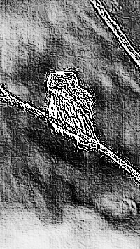 Skamielina