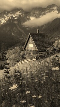 Szary + Sepia