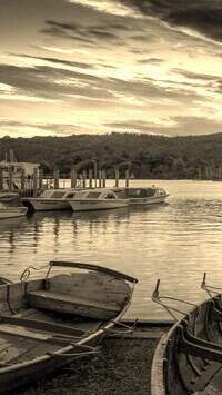 Szary + Sepia