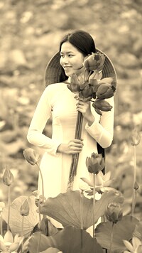 Szary + Sepia