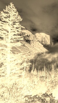 Sepia + Negatyw