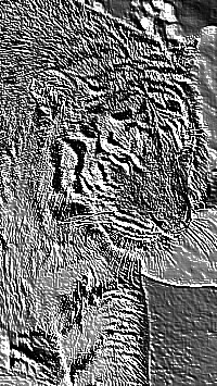 Skamielina