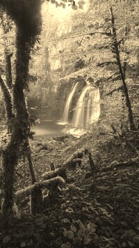 Sepia