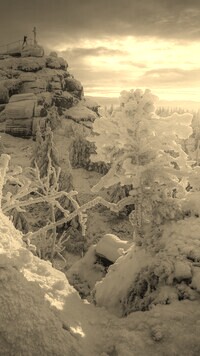 Szary + Sepia