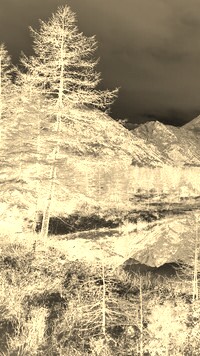 Sepia + Negatyw