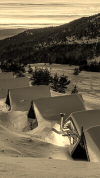 Szary + Sepia