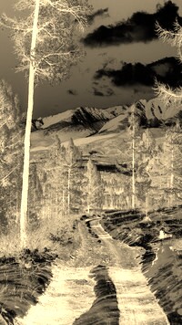 Sepia + Negatyw
