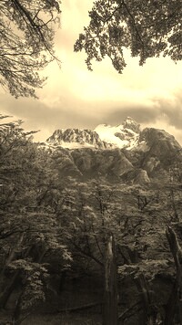 Sepia