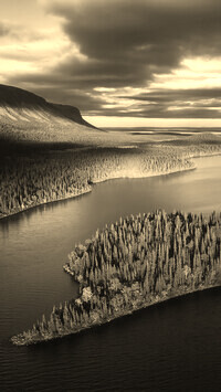 Szary + Sepia