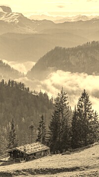 Szary + Sepia