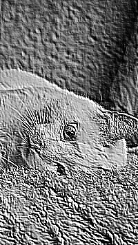 Skamielina