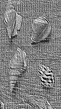 Skamielina