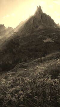 Szary + Sepia
