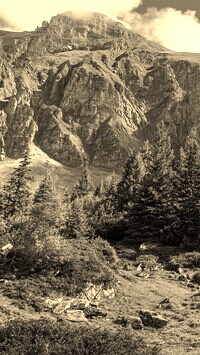 Szary + Sepia