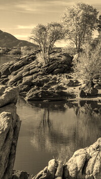 Sepia