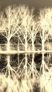 Sepia + Negatyw