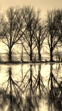 Szary + Sepia
