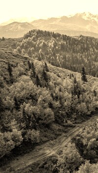 Szary + Sepia