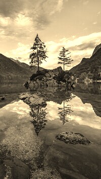 Szary + Sepia
