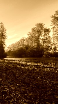 Sepia
