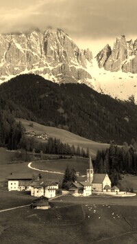 Szary + Sepia