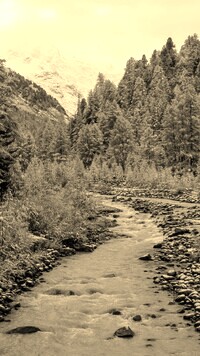 Szary + Sepia