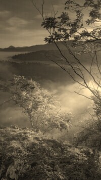 Szary + Sepia
