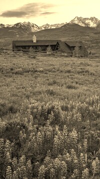Szary + Sepia
