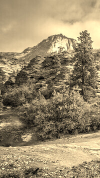 Sepia