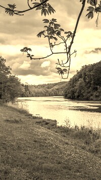 Szary + Sepia