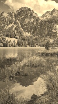 Szary + Sepia