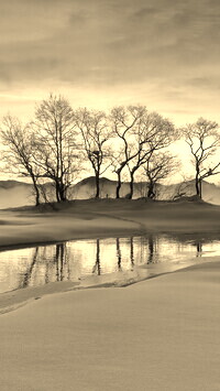 Szary + Sepia