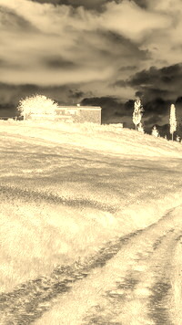 Sepia + Negatyw
