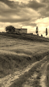 Szary + Sepia