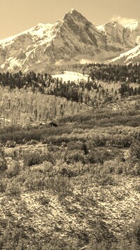 Sepia