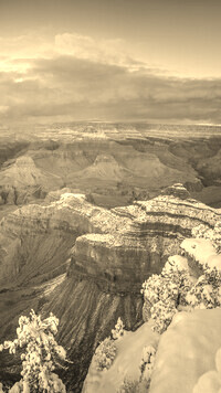Sepia