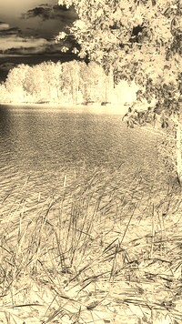Sepia + Negatyw