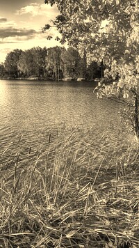 Szary + Sepia