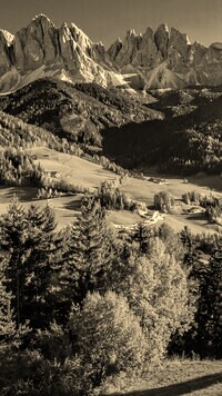 Szary + Sepia