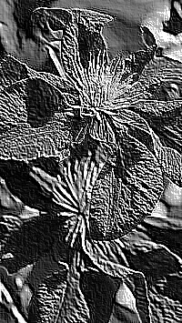 Skamielina