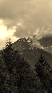 Szary + Sepia