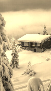 Szary + Sepia