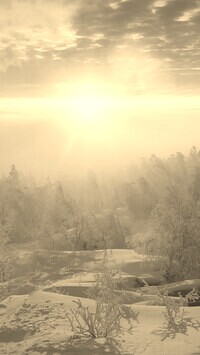 Szary + Sepia