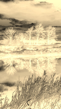 Sepia + Negatyw