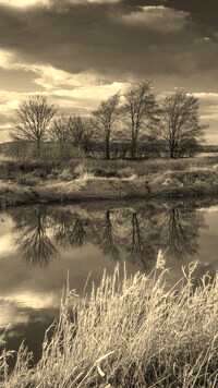 Sepia