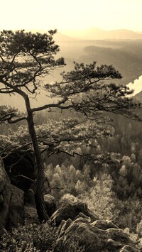 Szary + Sepia